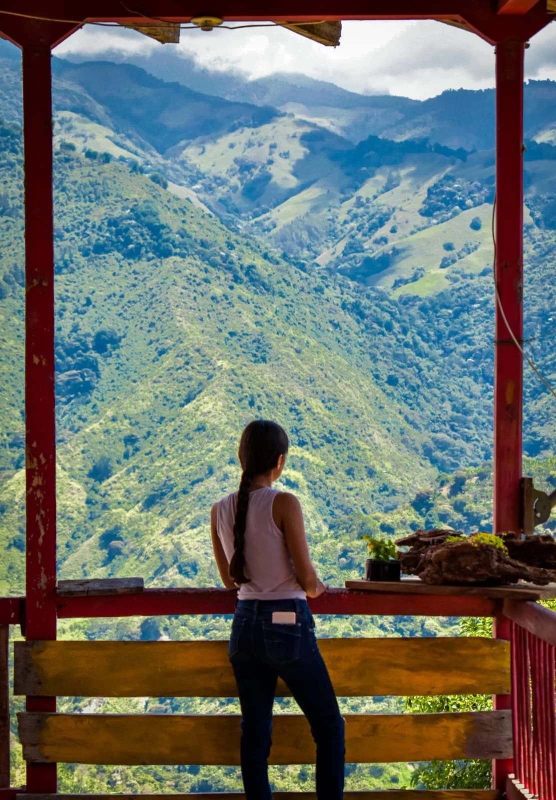 VISTA DESDE LA FINCA A LA CORDILLERA