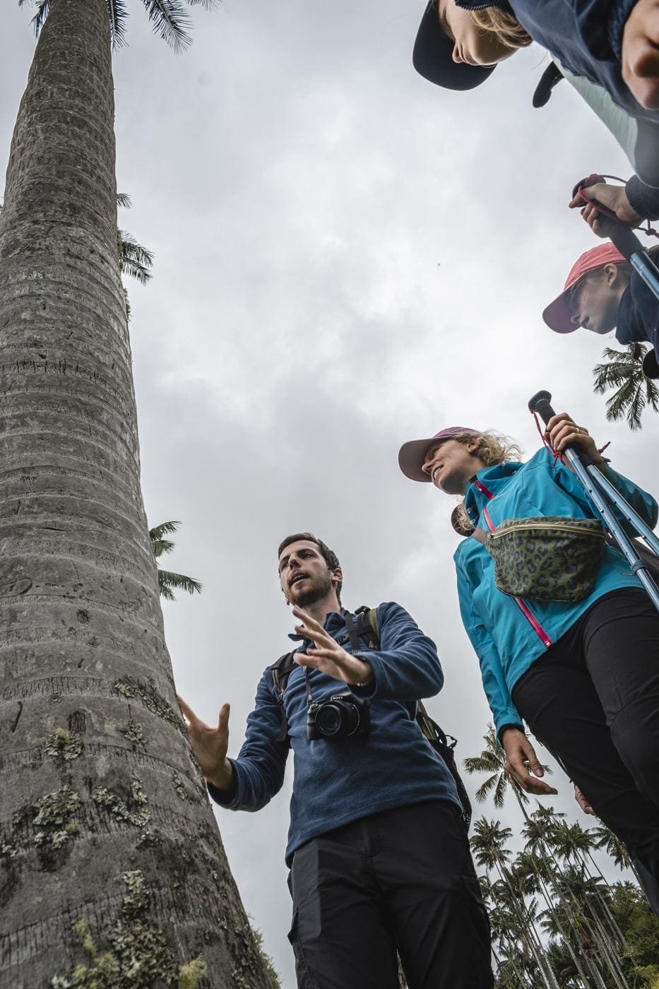Guía local explicando junto al tronco de una palma de cera