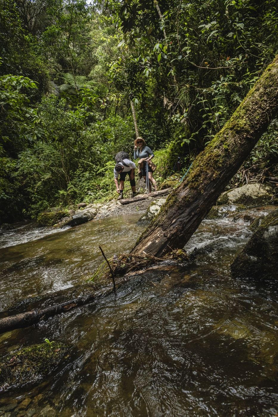 Viajeros junto a una quebrada de aguas cristalinas en el bosque