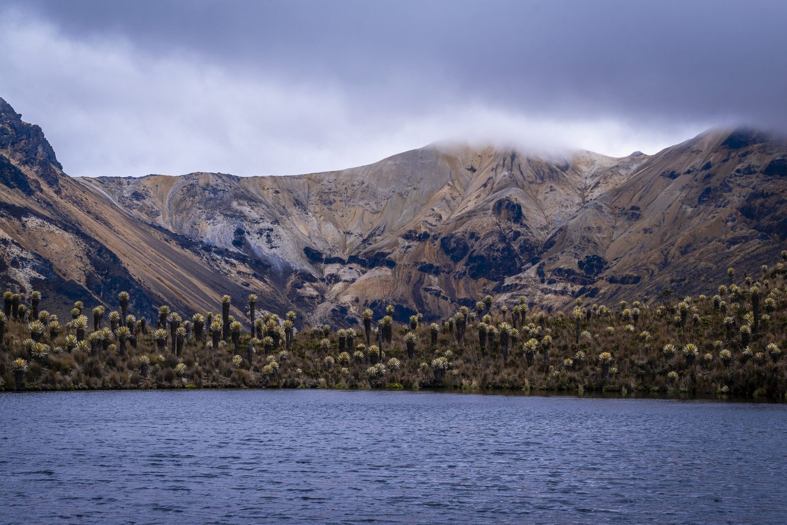 El Nevado del Tolima visto desde el páramo
