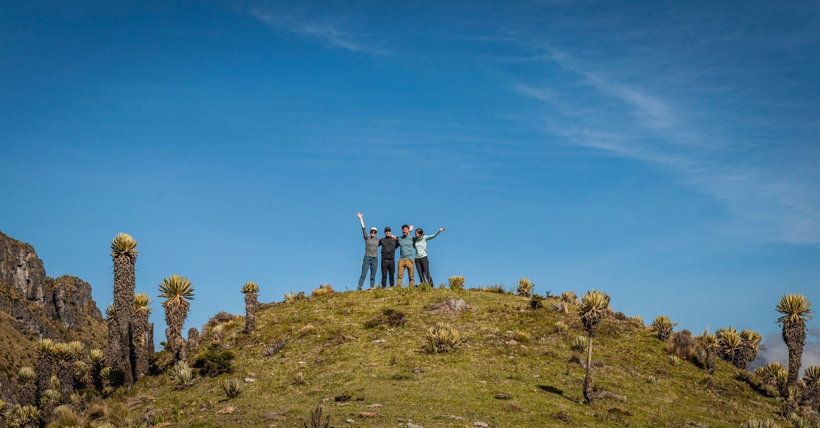 Grupo de viajeros celebrando en una colina rodeada de frailejones
